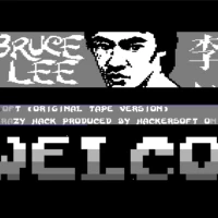 BRUCELEE 33D Misc game