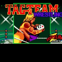 American Tag-Team Wrestling Amiga game