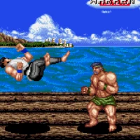 Deadly Moves (USA) Sega Mega Drive game