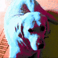 Bero Test Color (2005) (PD) Atari 7800 game