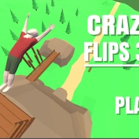 crazy flips 3D Platform game